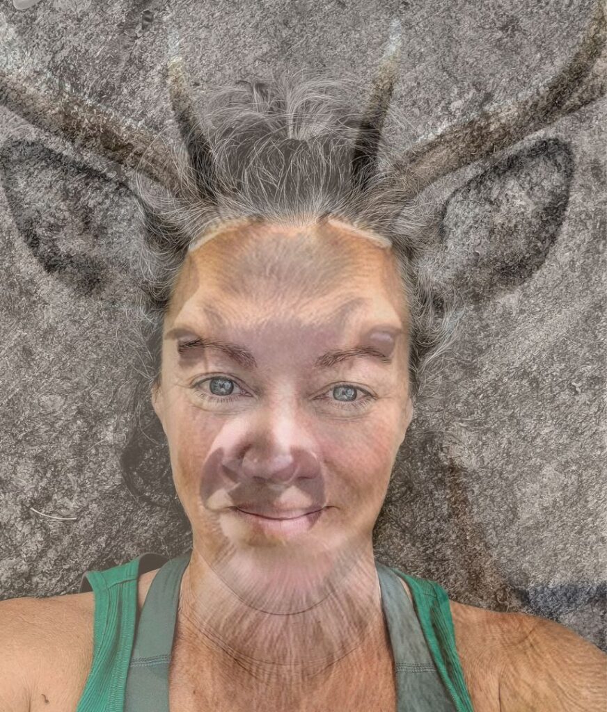 antlers 1